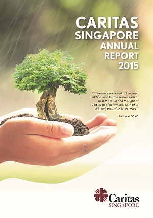 AR 2015 Cover (1)