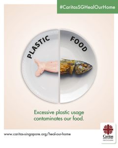 Awareness Campaign 1