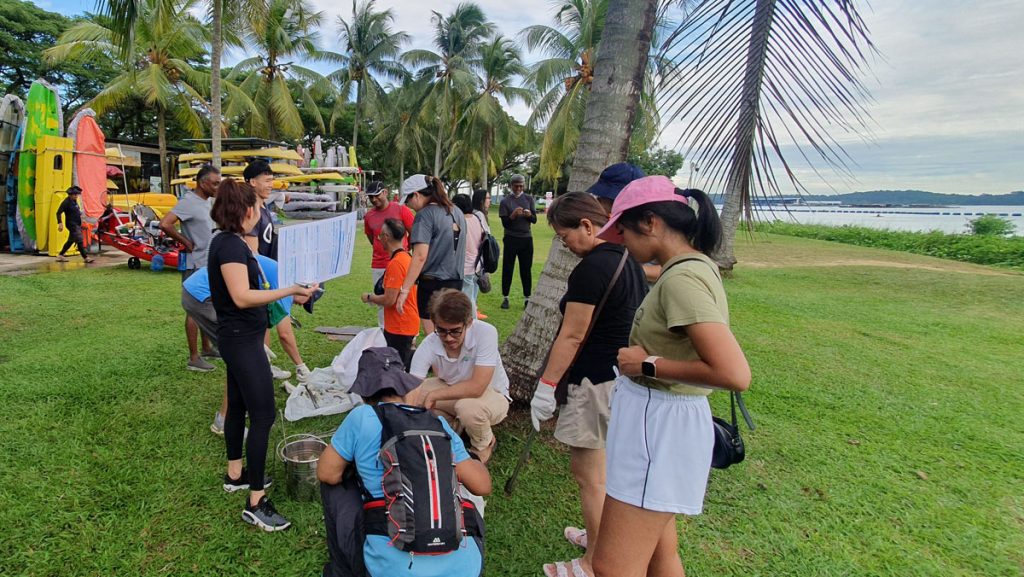 Beach Cleanup 4