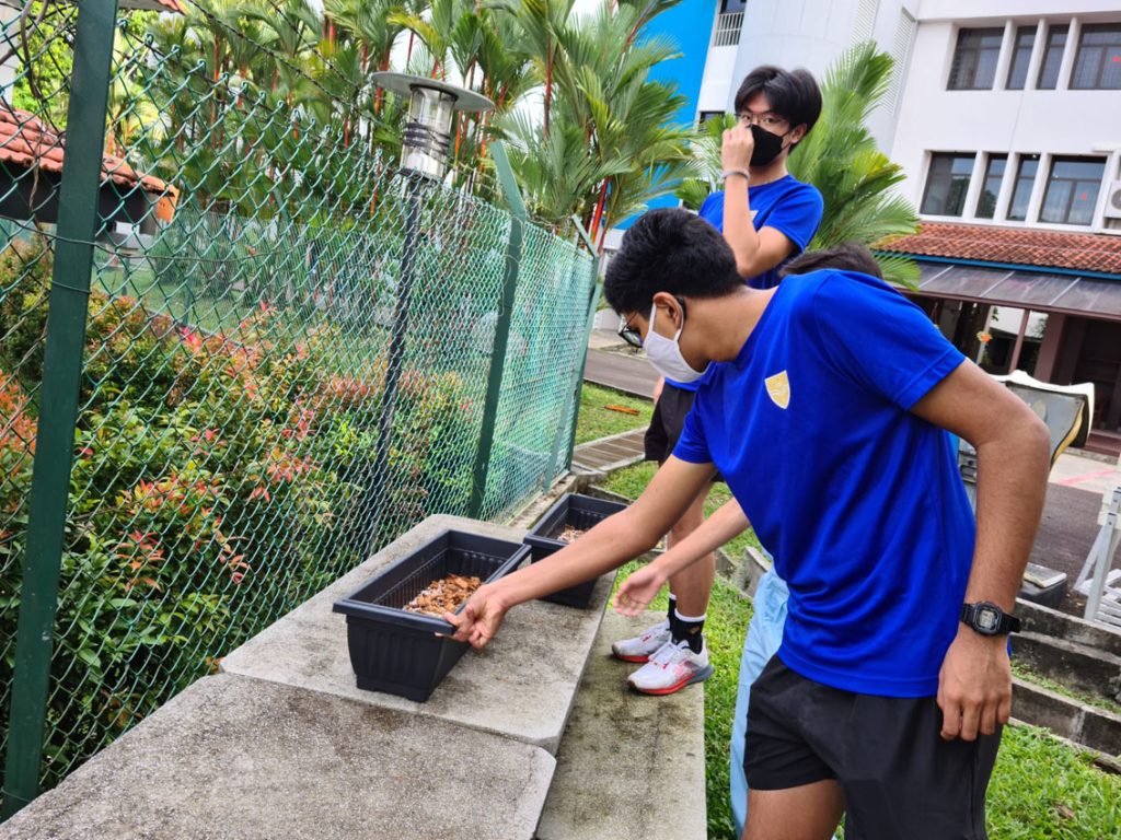 CJC Planting 2