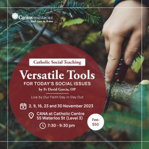 CST: Versatile Tools