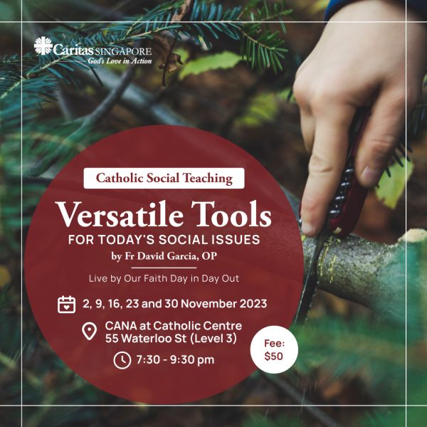 CST: Versatile Tools