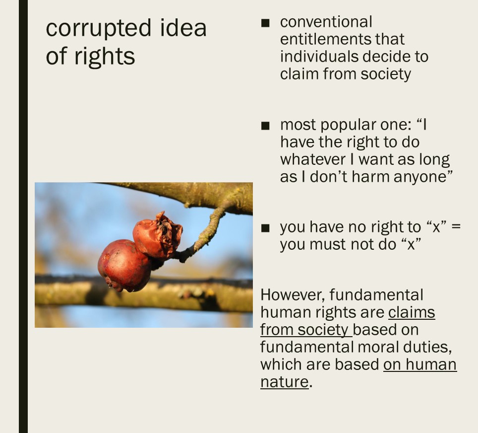 CST Idea 3 (10) CST Idea 3 10