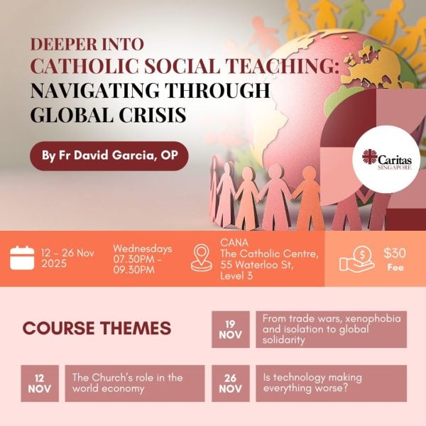 Catholic Social Teaching (Nov 2025)
