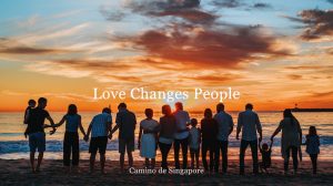 Camino banner 4 July 2020