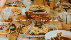 Camino de Singapore How You Can Stop Food Waste