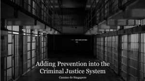 Camino Adding Prevention into the Criminal Justice System Web 884x494px