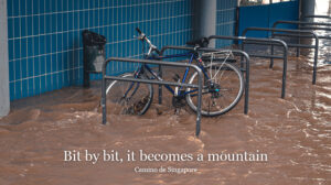 Camino Bit by bitWeb 884x494px