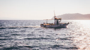 Camino Climate Change and the Sea Web 884x494px