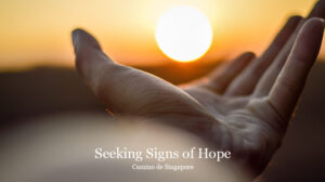 Camino Seeking Signs of Hope Web 884x494px