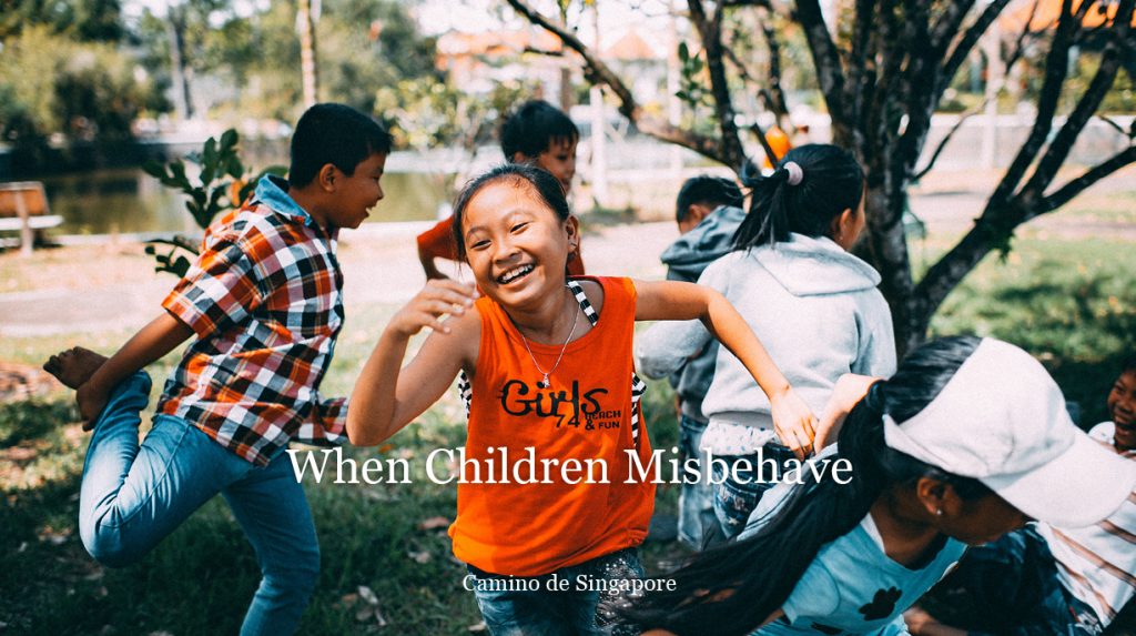 Camino WhenChildrenMisbehave Web 884x494px 1