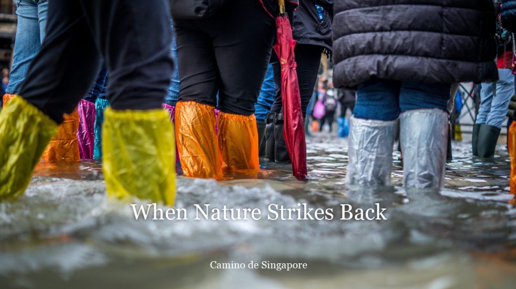 Camino de Singapore: When Nature Strikes Back 5 Camino WhenNatureStrikesBack Web 884x494px 1