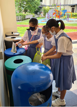 Canossa Primary School recyling