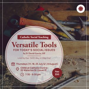 Catholic Social Teaching: Versatile Tools for Today’s Social Issues