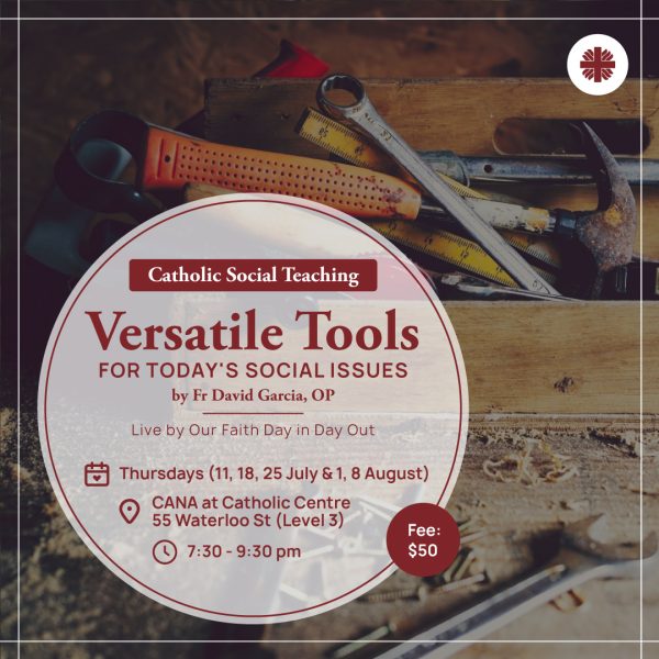 Catholic Social Teaching: Versatile Tools for Today’s Social Issues