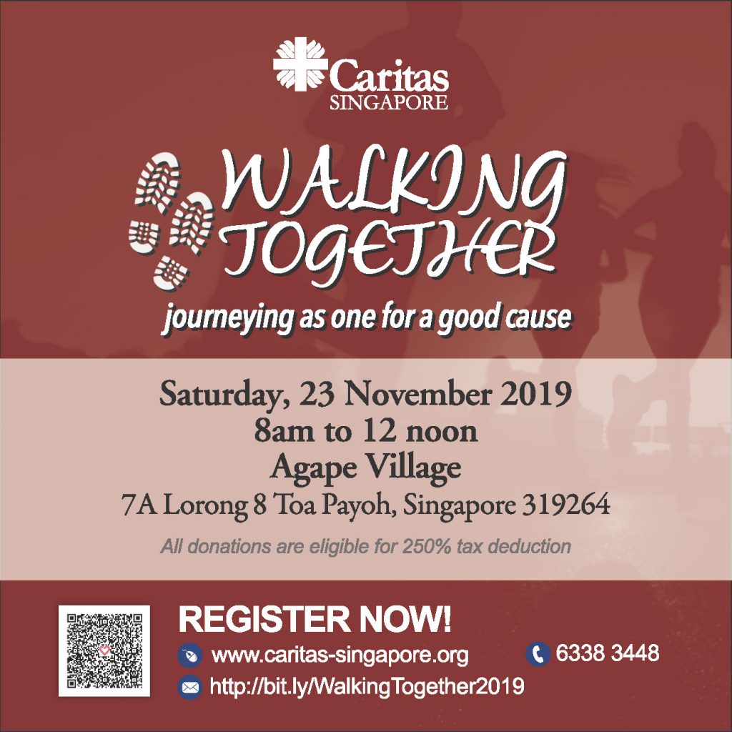 Walking Together 5 Caritas WalkathonBannerFA