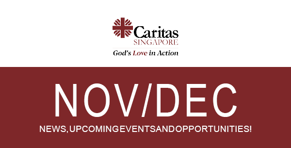 NEWS AND UPCOMING EVENTS (NOV/DEC) 5 EDM November HEADER