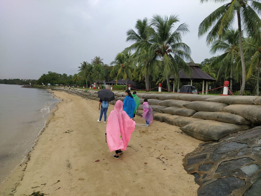 Marymount Beach Cleanup 1