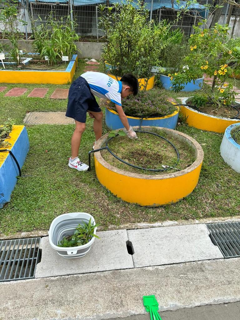 St Gabriels Foundation Cleaning pots 1