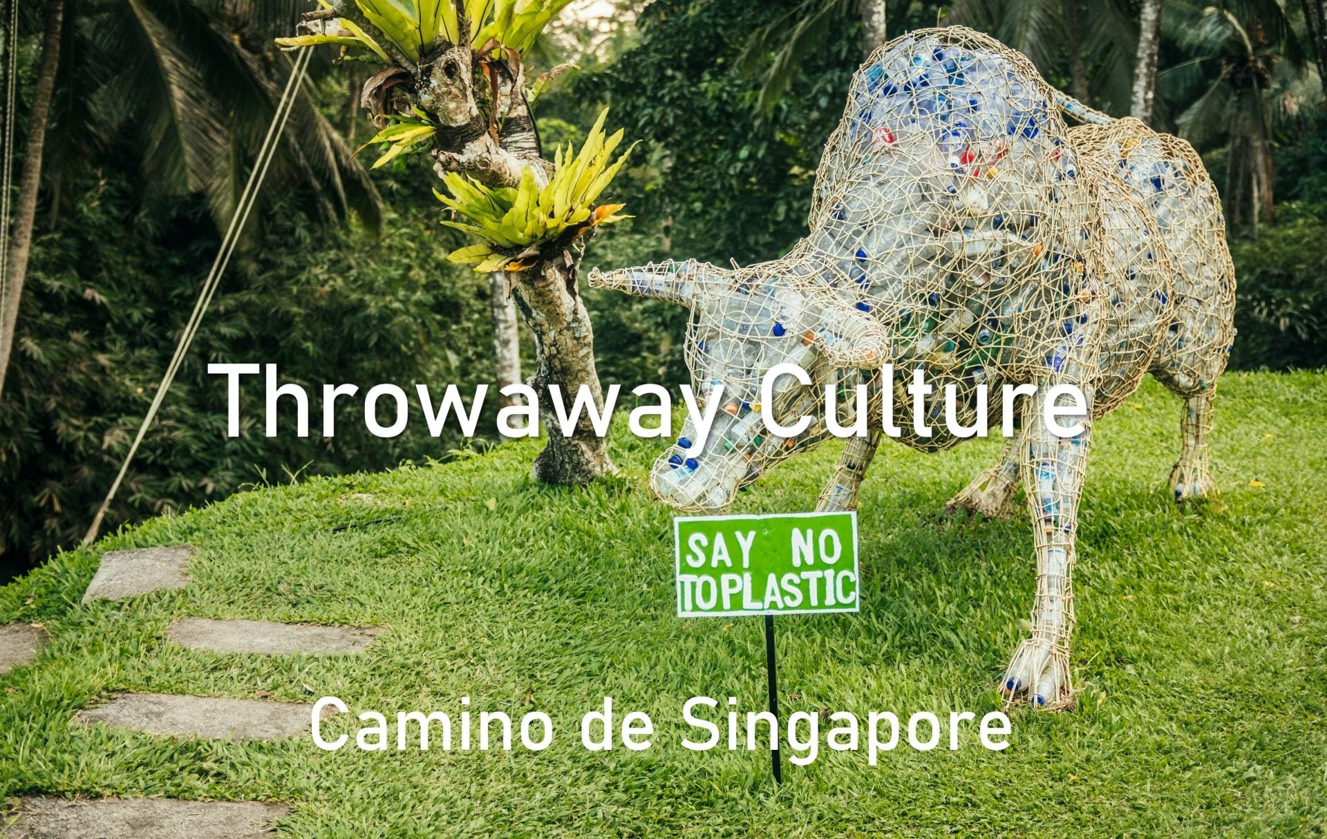 Throwaway Culture