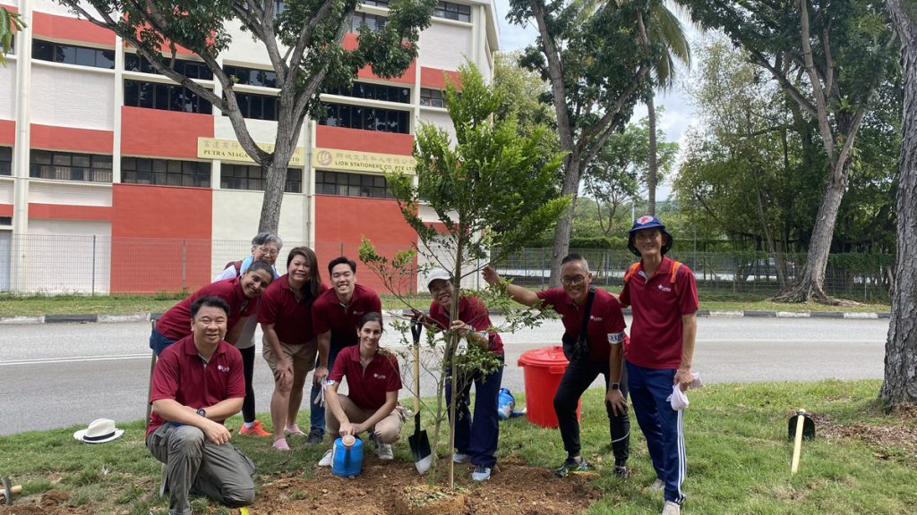 Tree Planting 7