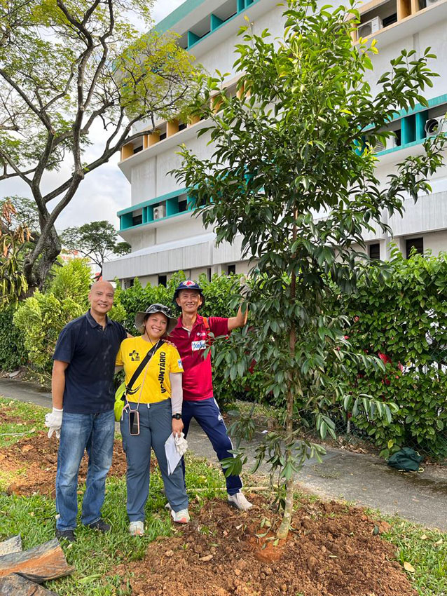 Tree Planting