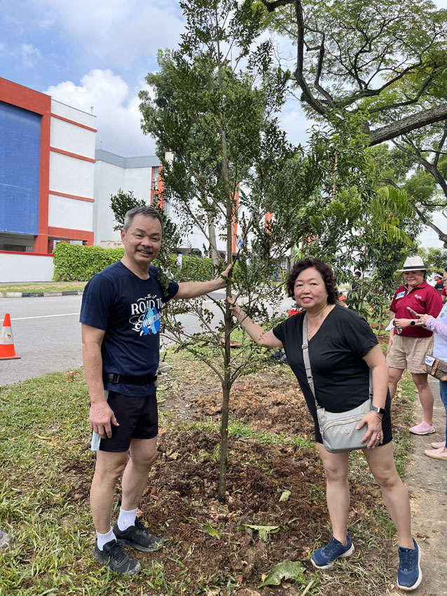 Tree planting 2