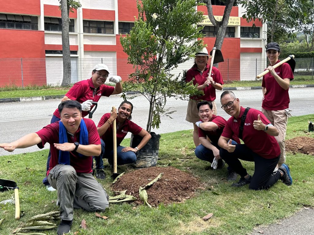 Tree planting 4