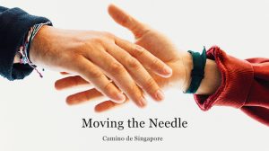 camino move the needle