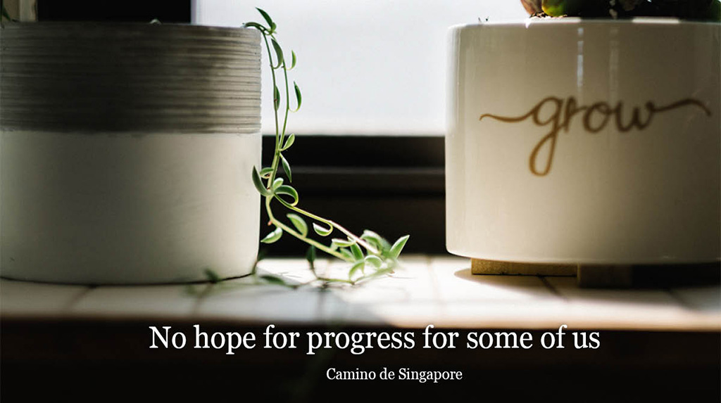 Camino De Singapore: No hope for progress for some of us. 5 plant 1024