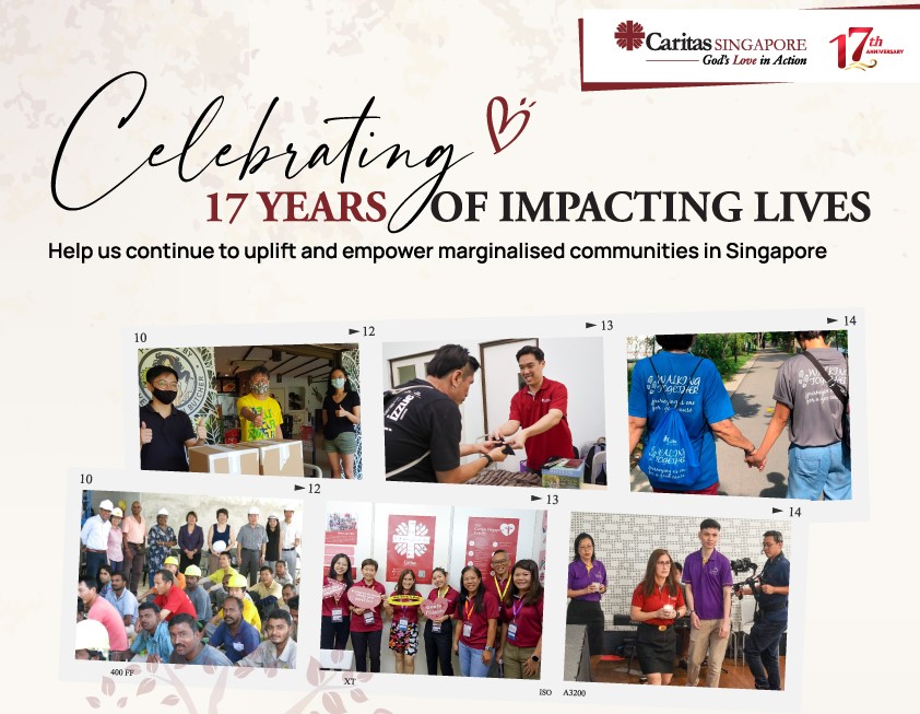 website banner 17th Anniversary